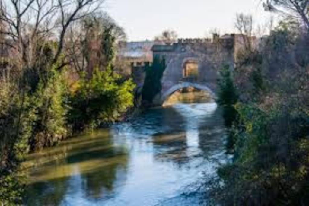 La Palma Degli Artisti Apartamento Roma